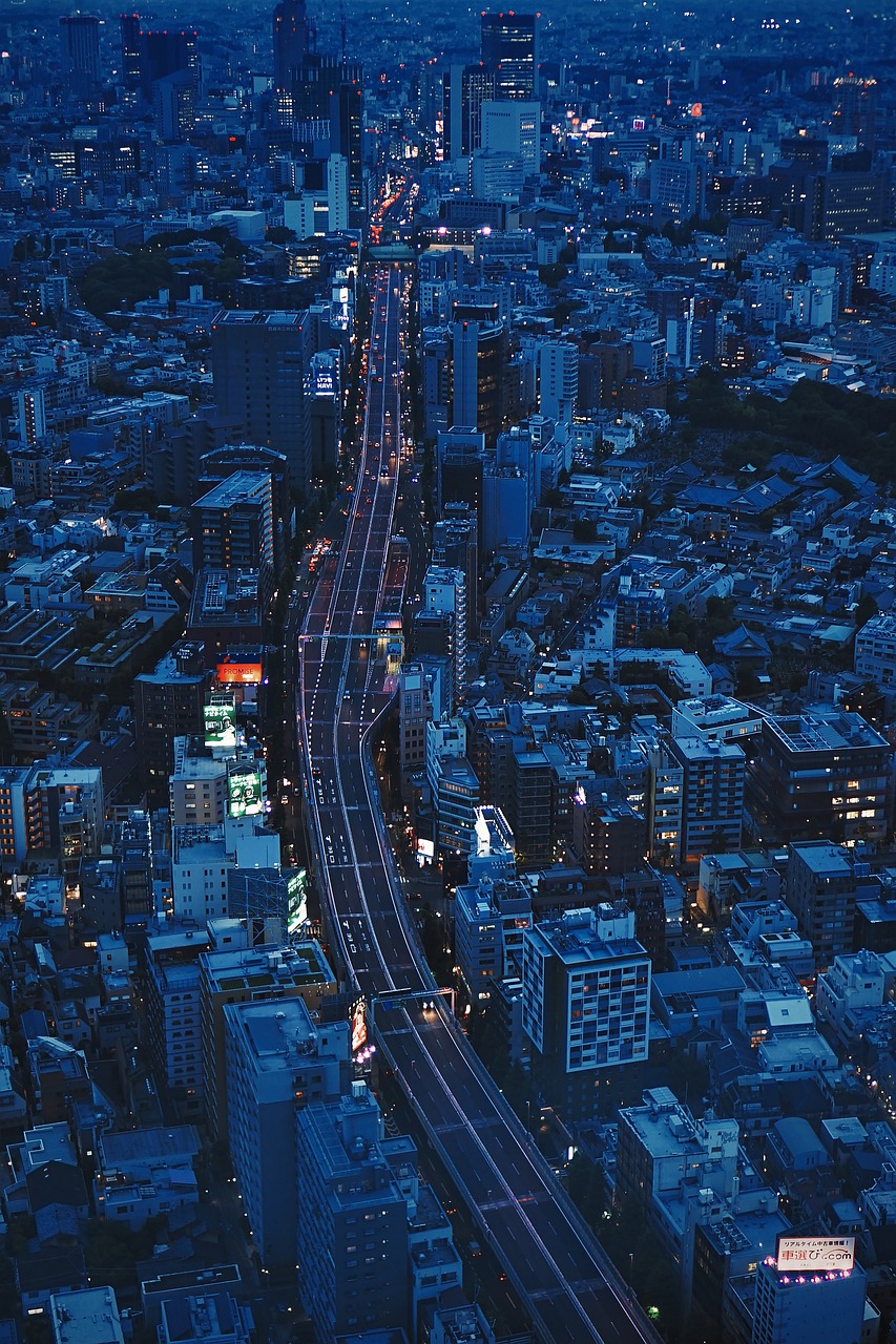 City Night Bird's Eye View wallpaper