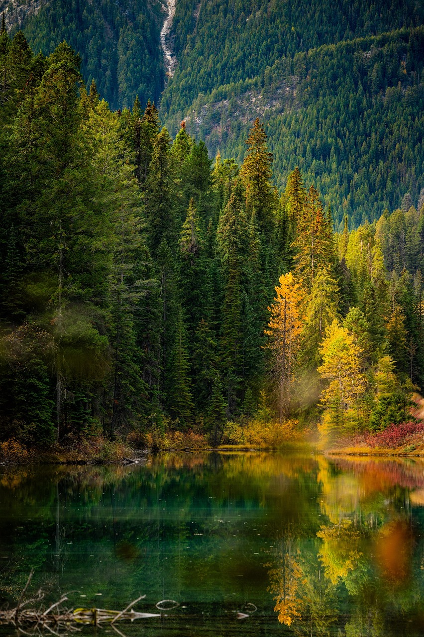 Autumn Nature Reflection wallpaper