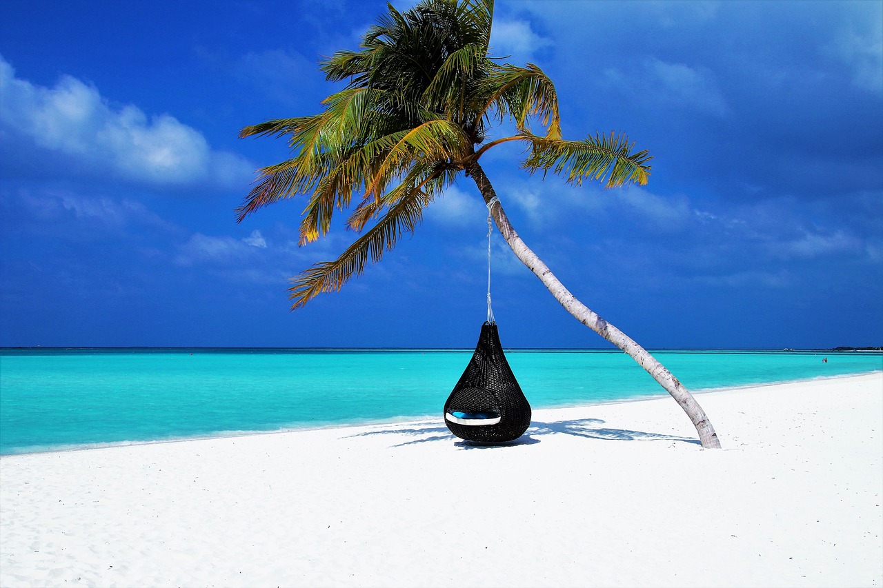 Maldives Palm Tree Hammock Maldives Palm Tree Hammock wallpaper