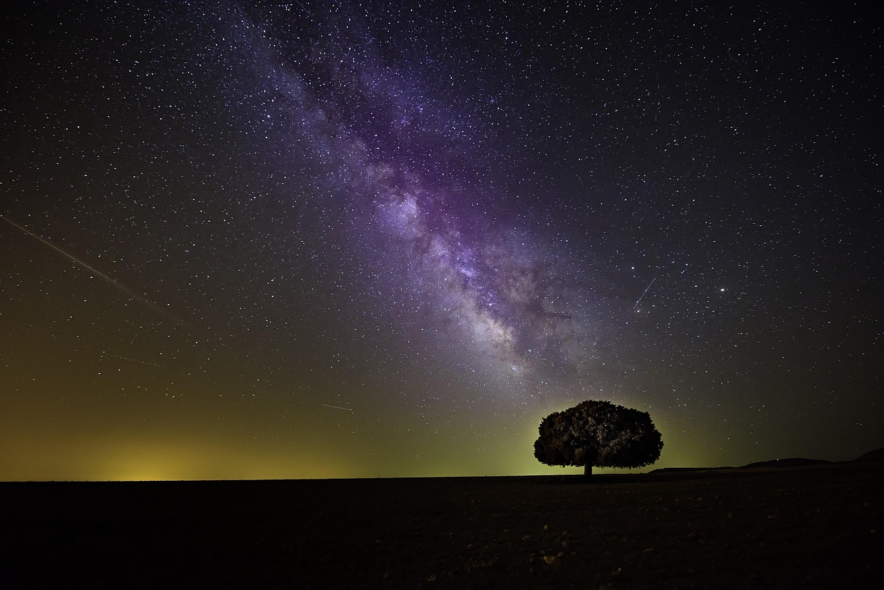 Tree Stars Night wallpaper