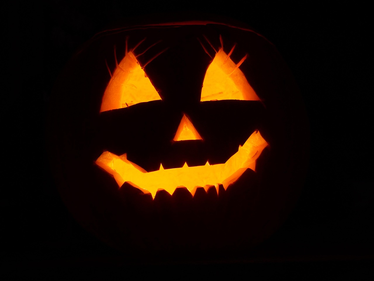 Pumpkin Halloween Illuminated wallpaper