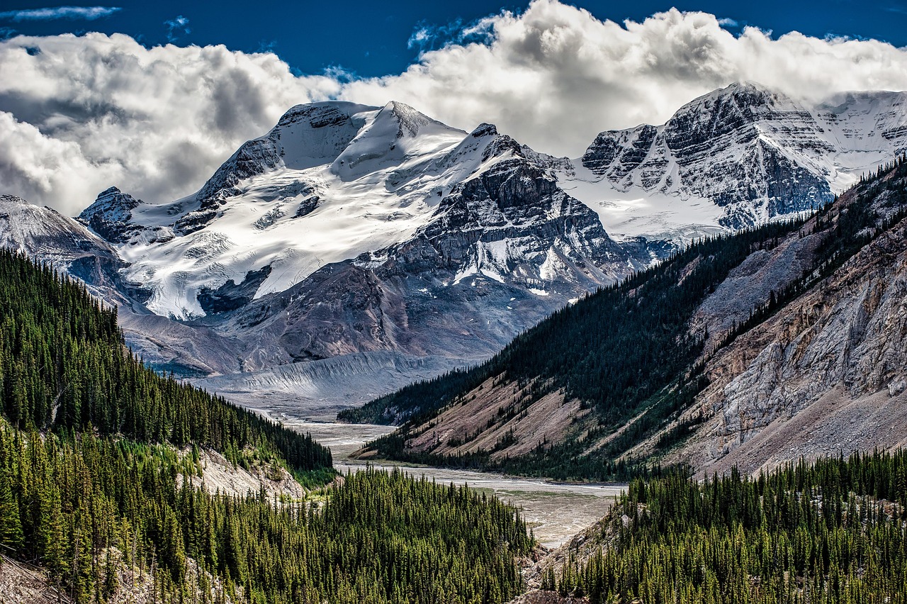 Mountain River Trees wallpaper