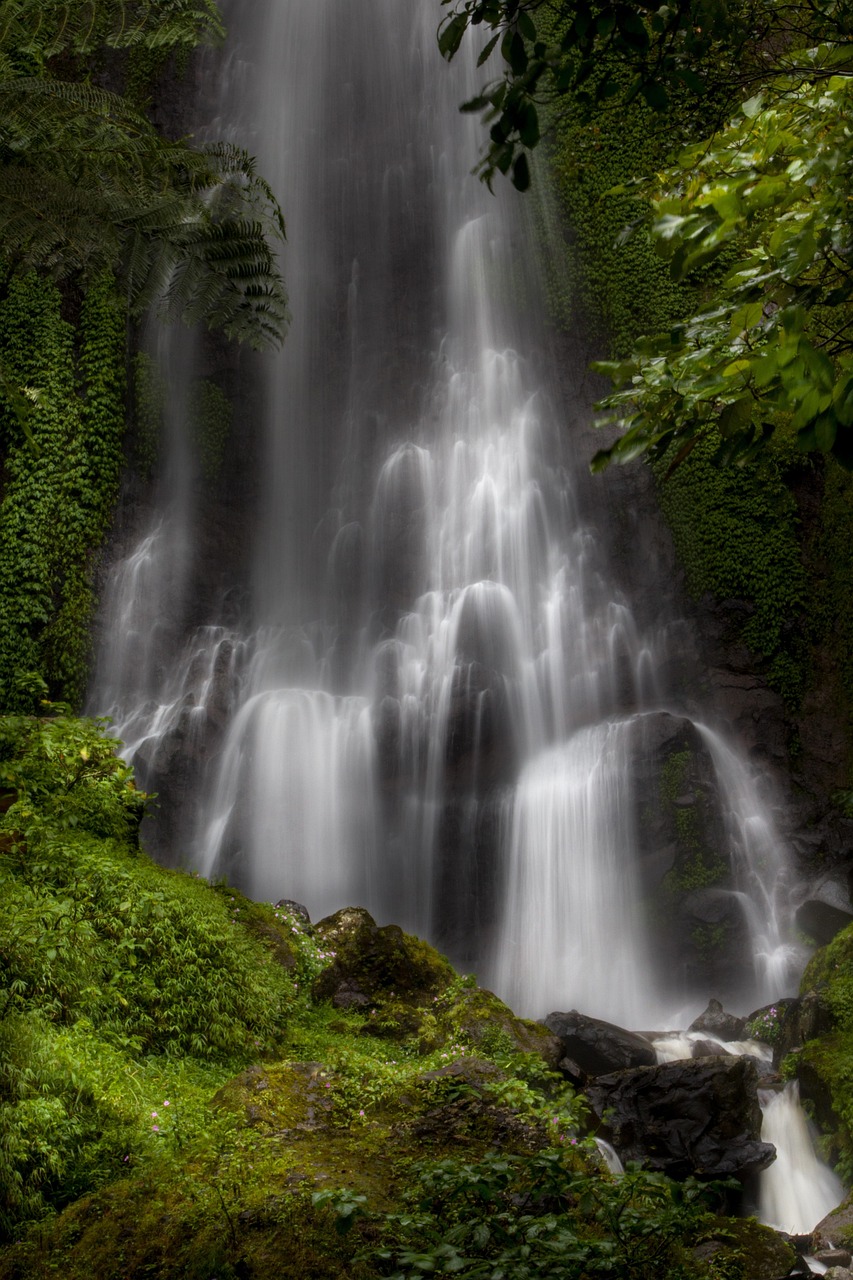 Waterfall Water Tree wallpaper