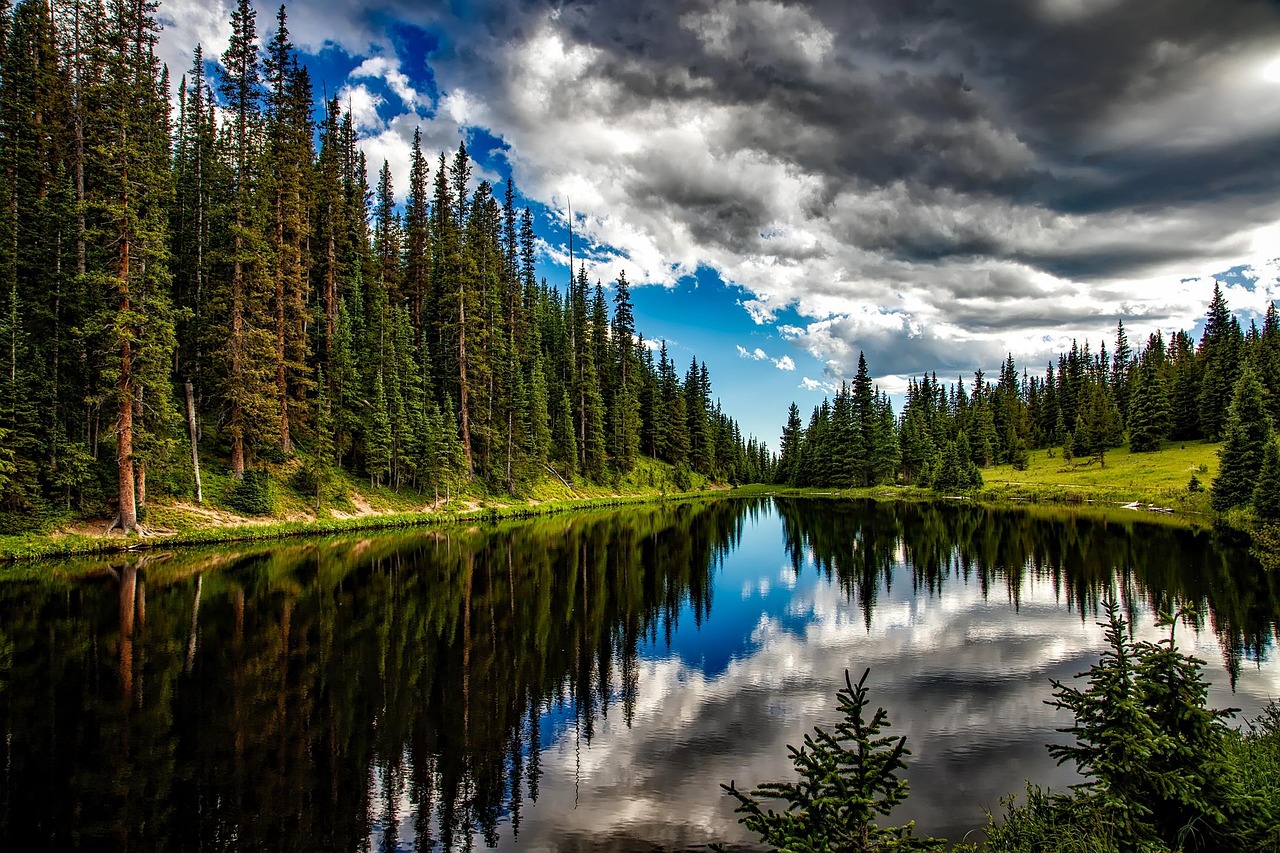 Lake Conifers Clouds wallpaper