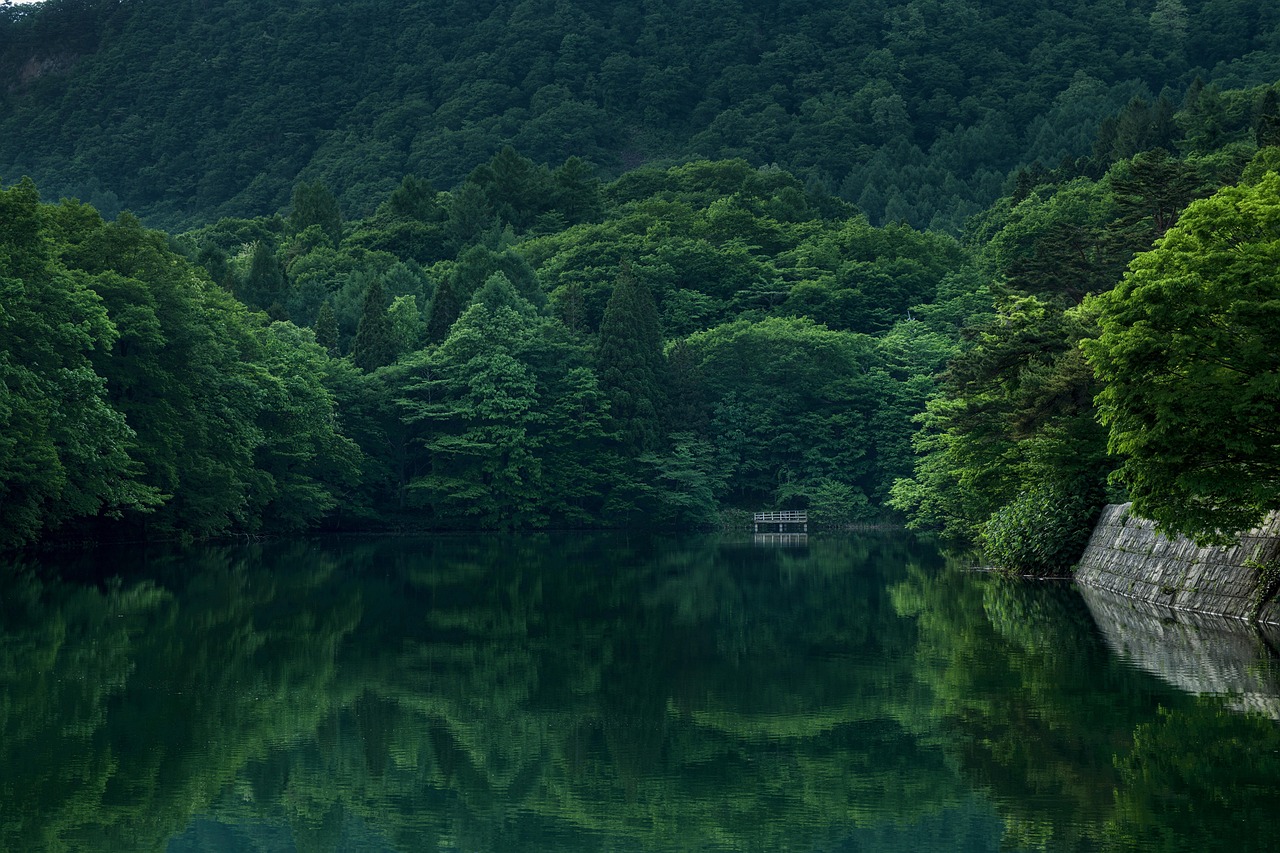 Lake Forest Dock wallpaper