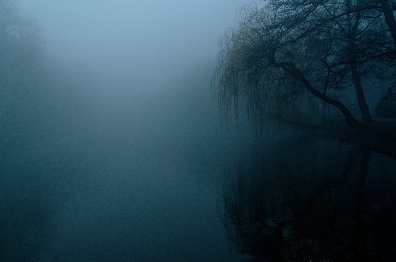 The Fog Darkness Nature wallpaper