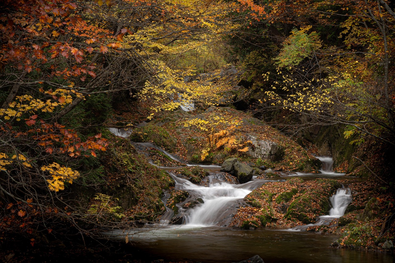 Waterfall River Autumn wallpaper