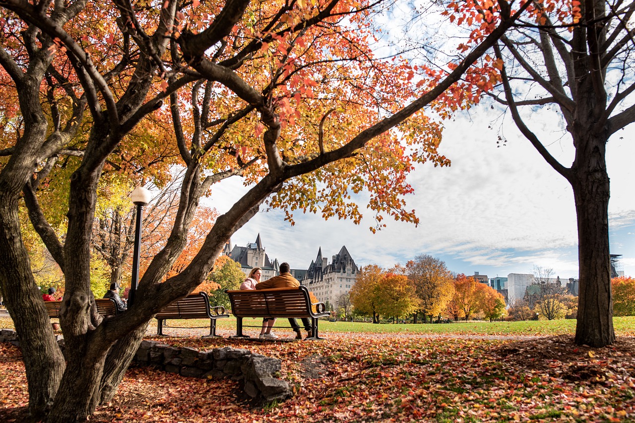 Fall Park Bench wallpaper