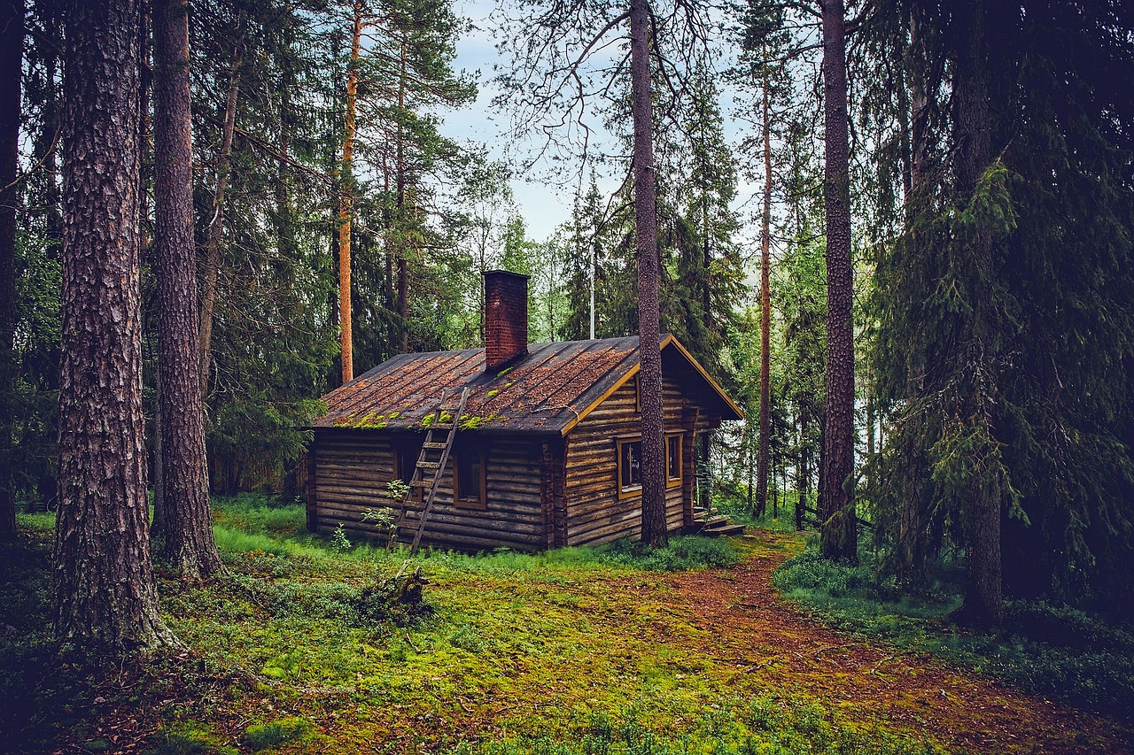 Log Cabin Cottage House wallpaper