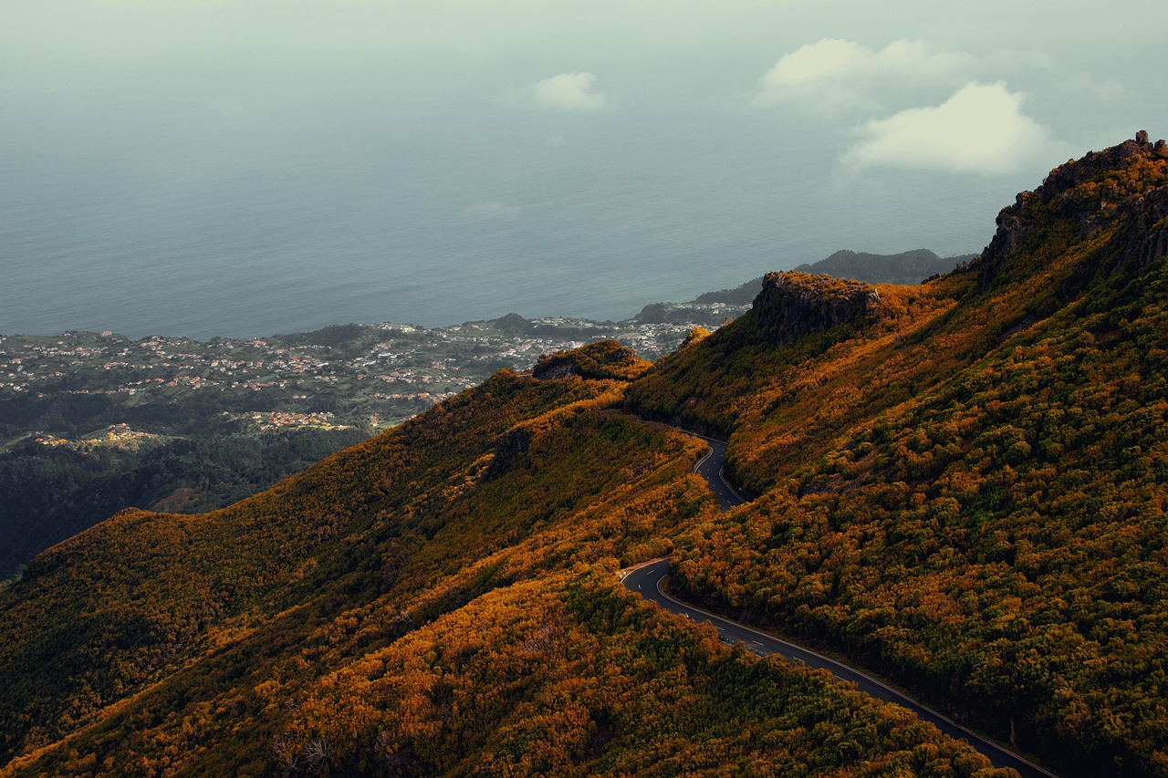 Road Mountains Forest wallpaper