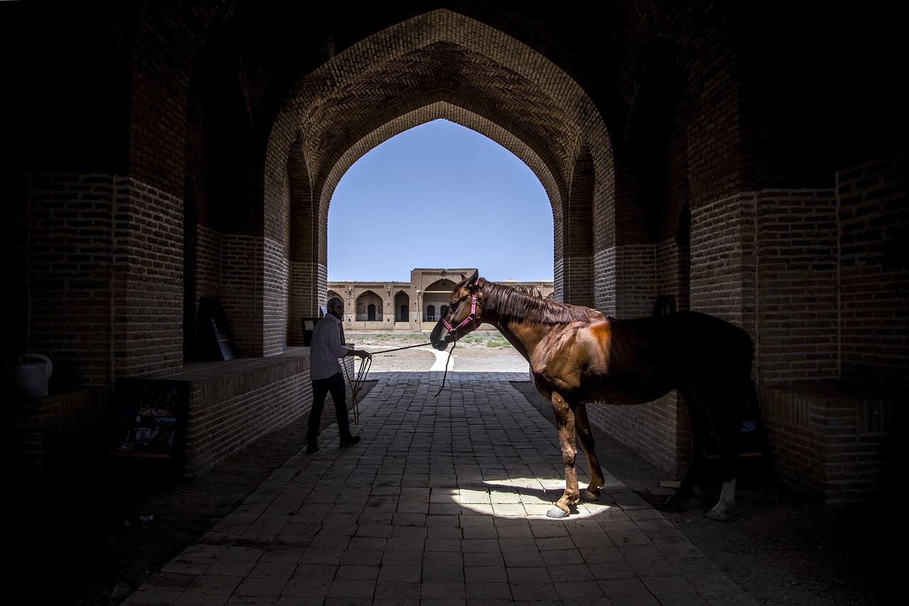 Caravansary Horse Man wallpaper