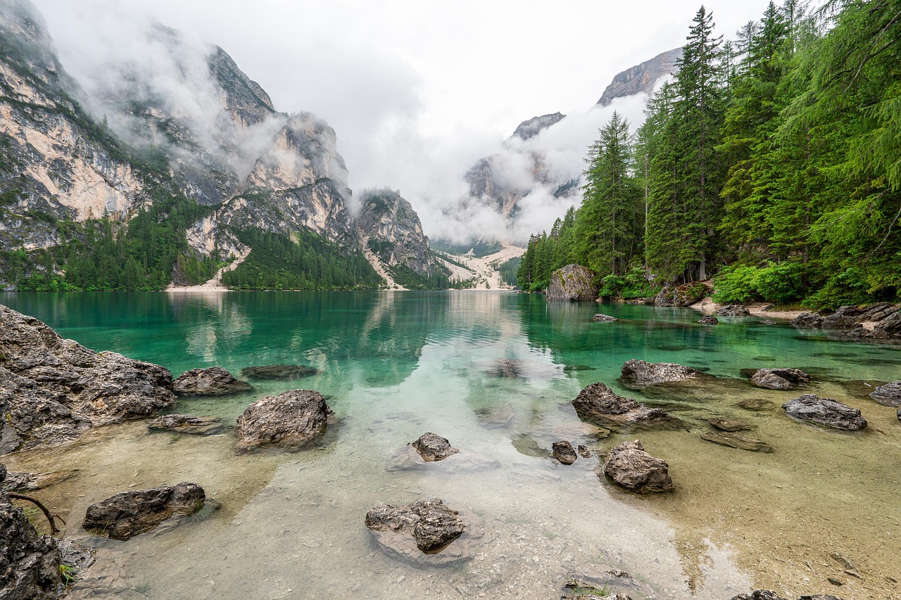Water Lake Nature wallpaper