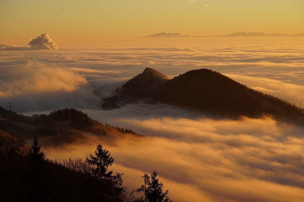 Nature Fog Outdoors wallpaper