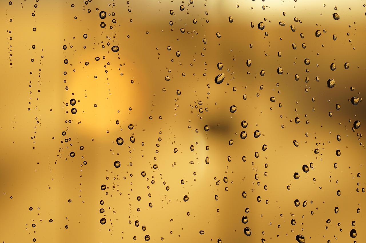 Rain Raindrop Glass Pane wallpaper