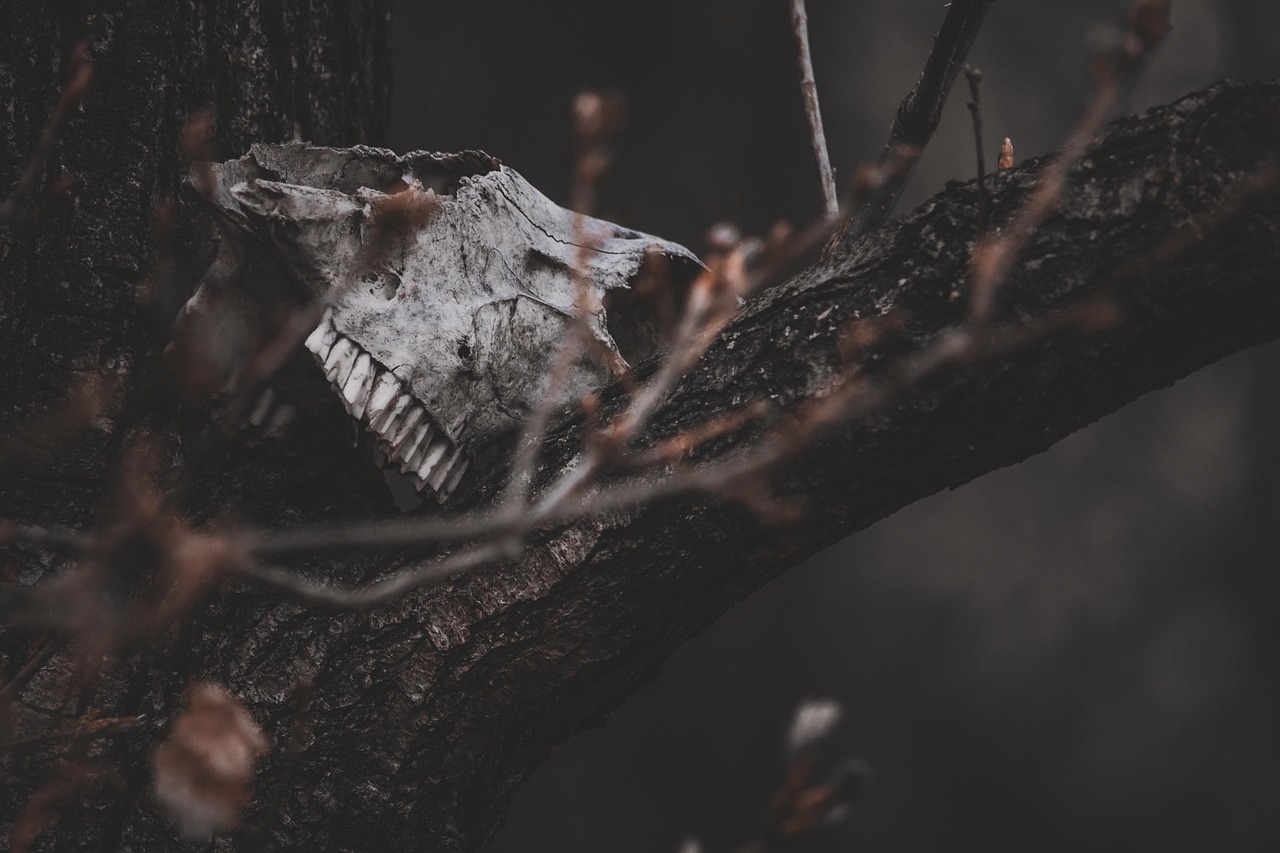 Skull Bones Horror wallpaper