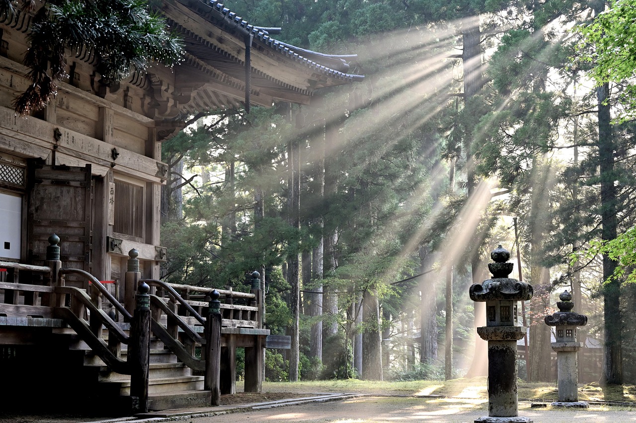 Sun Rays Forest Koyasan Temple wallpaper