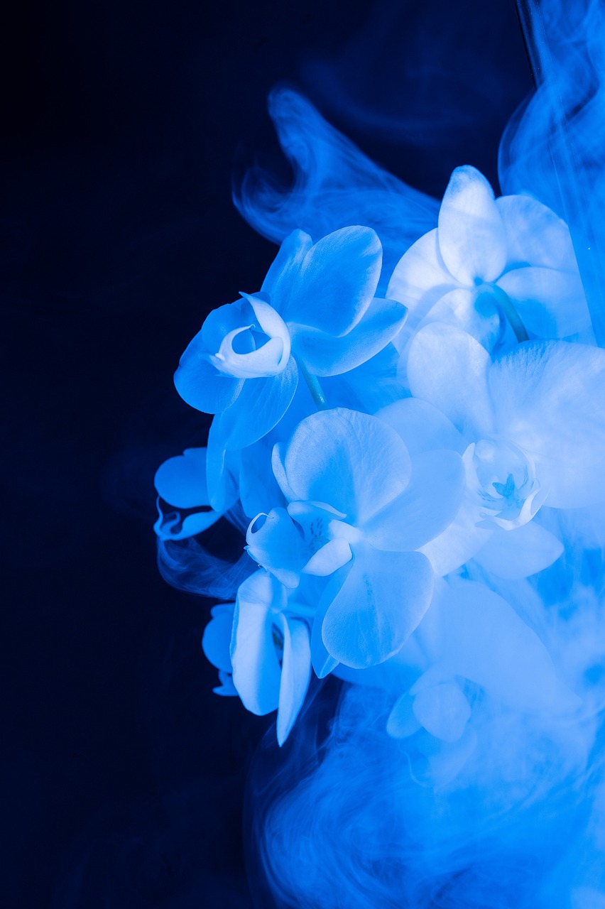 Floral Abstract Flower wallpaper