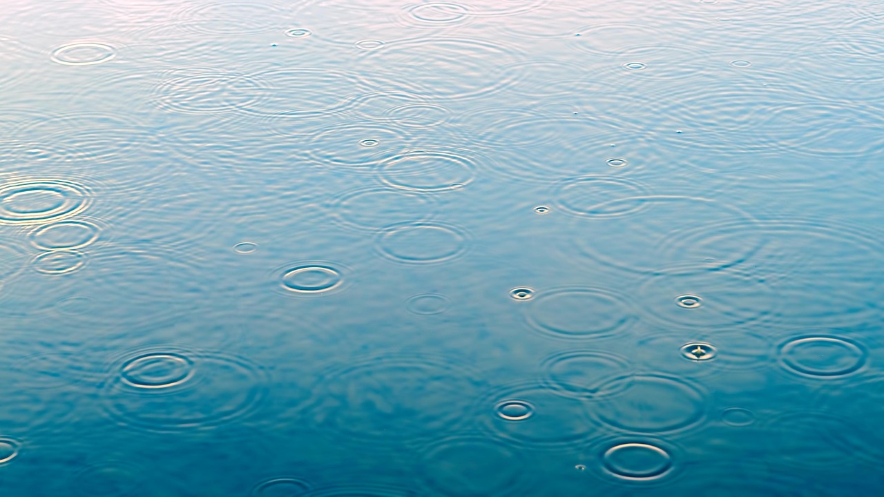Raindrops Puddle Rain wallpaper