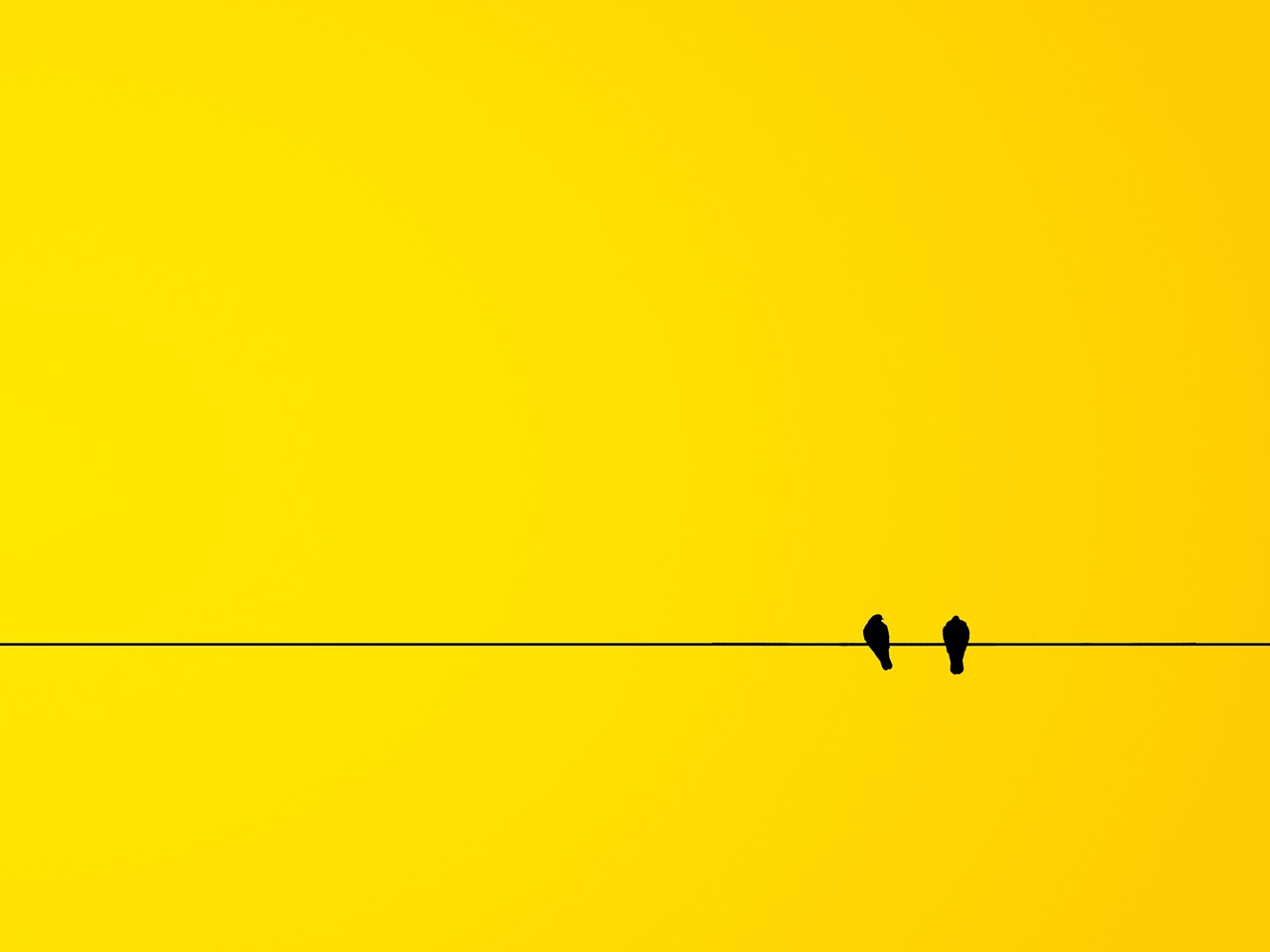 Birds Minimalism Yellow wallpaper