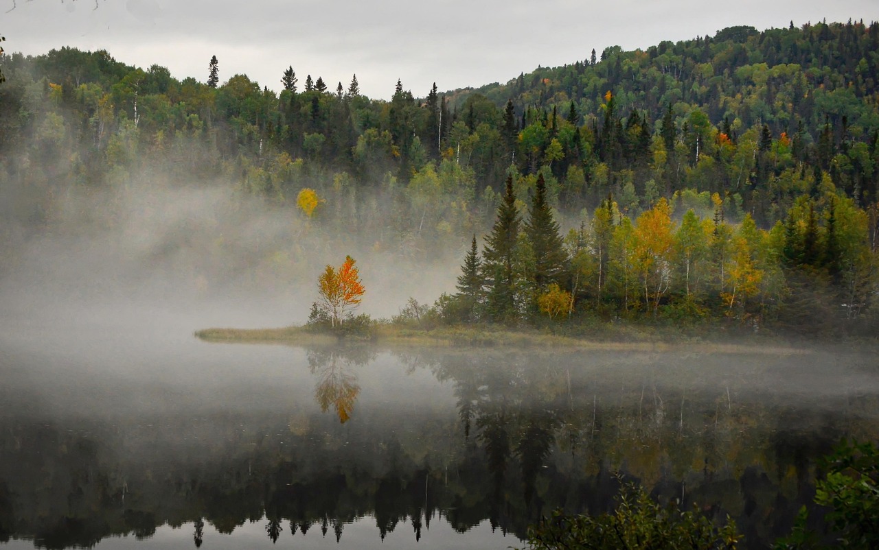 Landscape Nature Fog wallpaper