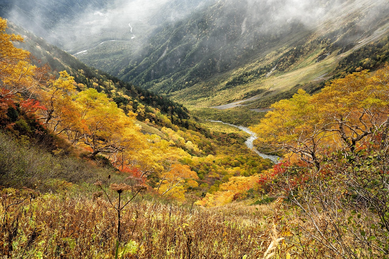 Natural Autumn Yellow Leaves wallpaper