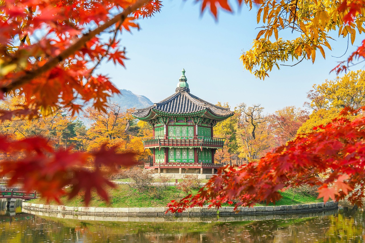 Korea Tree Gyeongbokgung wallpaper