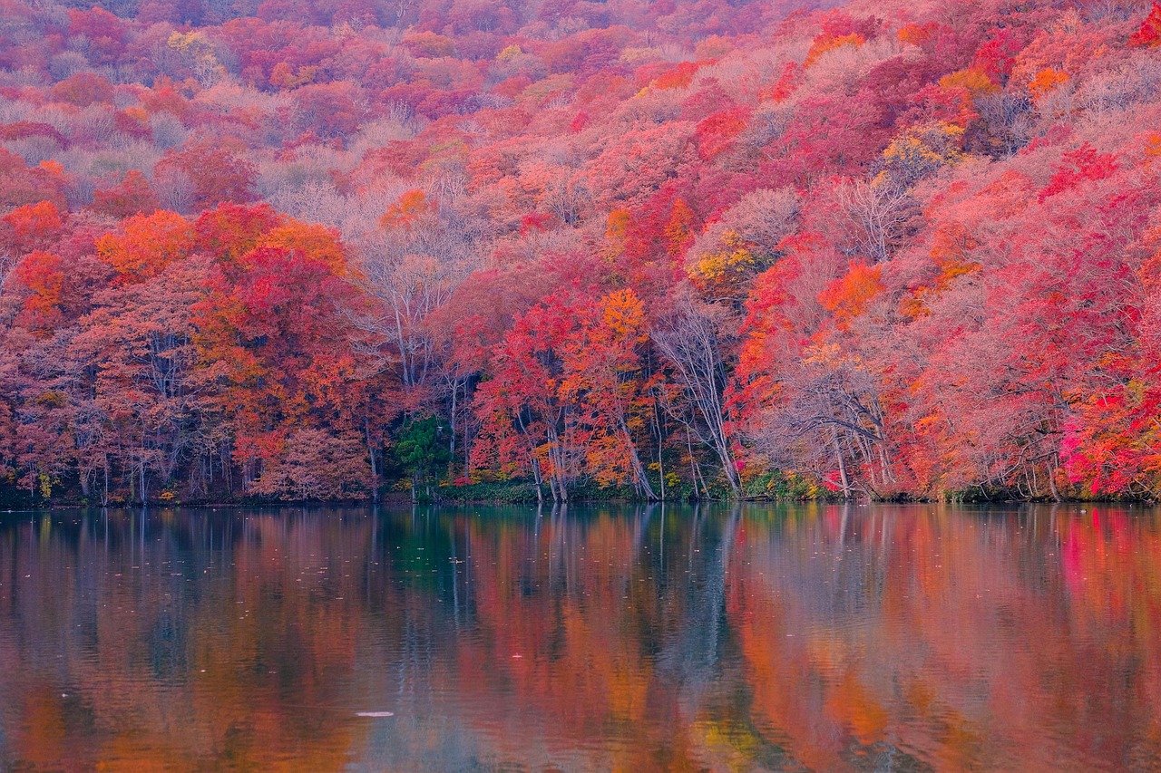 Autumn Forest Lake wallpaper