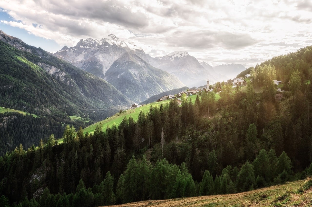 Mountains Nature Forest wallpaper