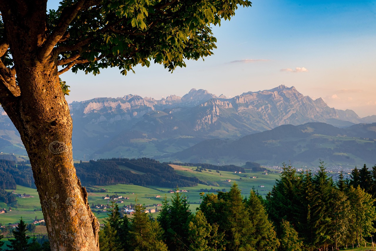 Tree Landscape Mountains wallpaper