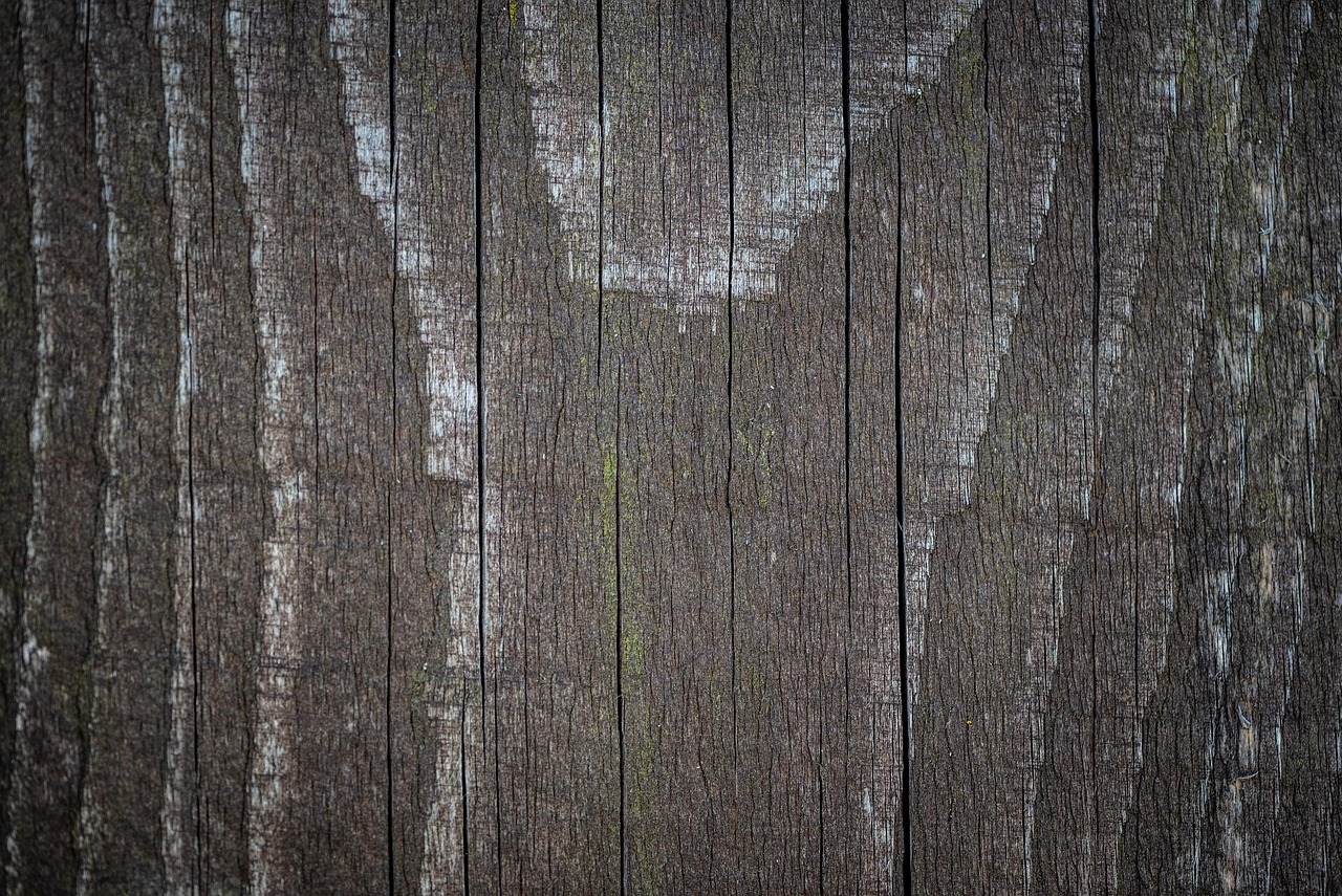 Background Wood Texture wallpaper