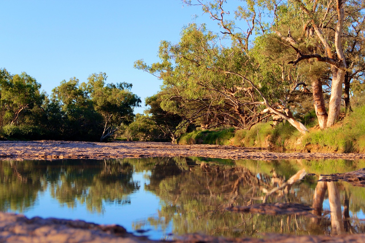 Reflection Bush Australia wallpaper