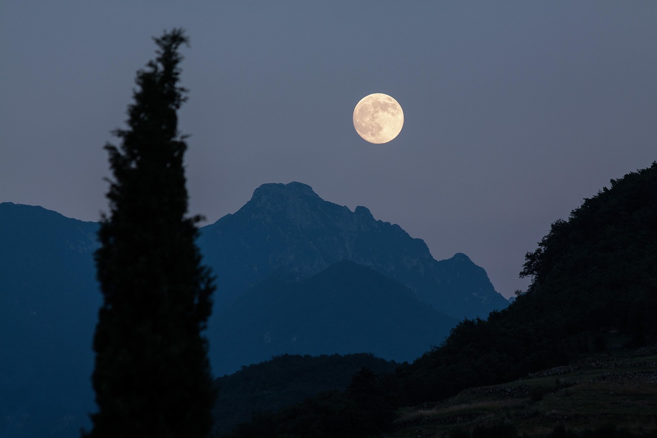 Moon Cypress Mountains wallpaper
