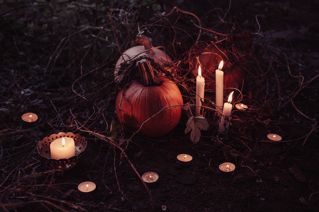 Pumpkin Trick Or Treat Halloween wallpaper