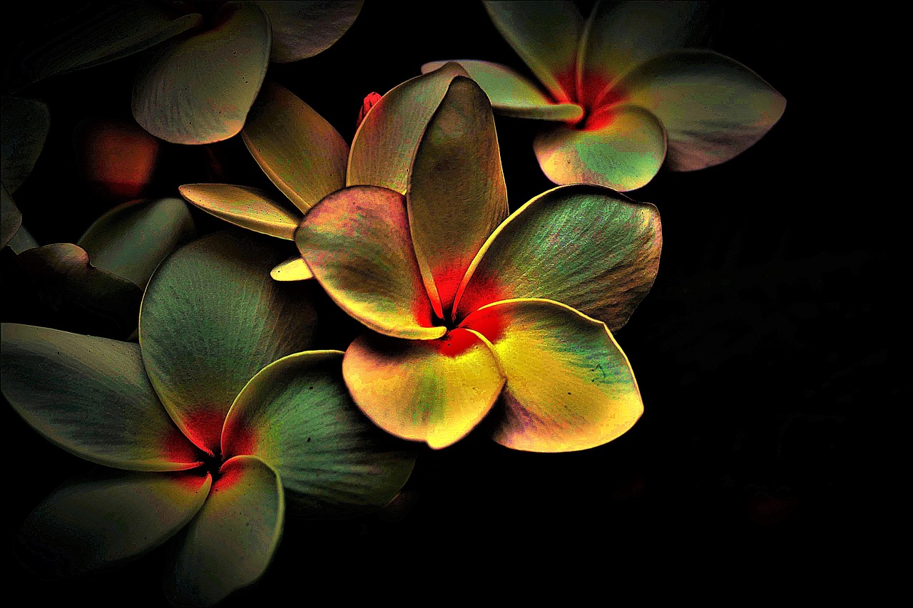 Blossoms Colored Abstract wallpaper