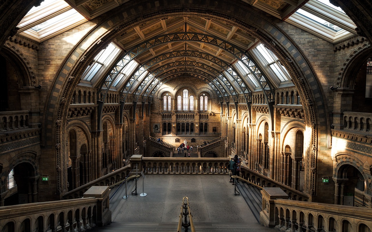 Natural History Museum London Interior wallpaper