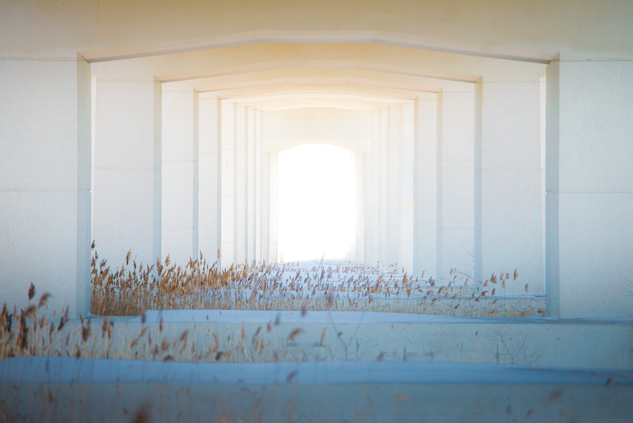 Bridge Tunnel Door wallpaper
