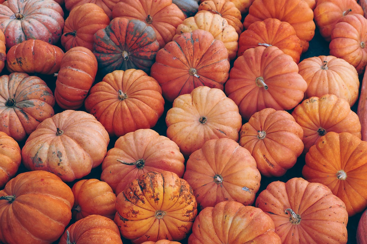 Pumpkin Vegetables Halloween wallpaper