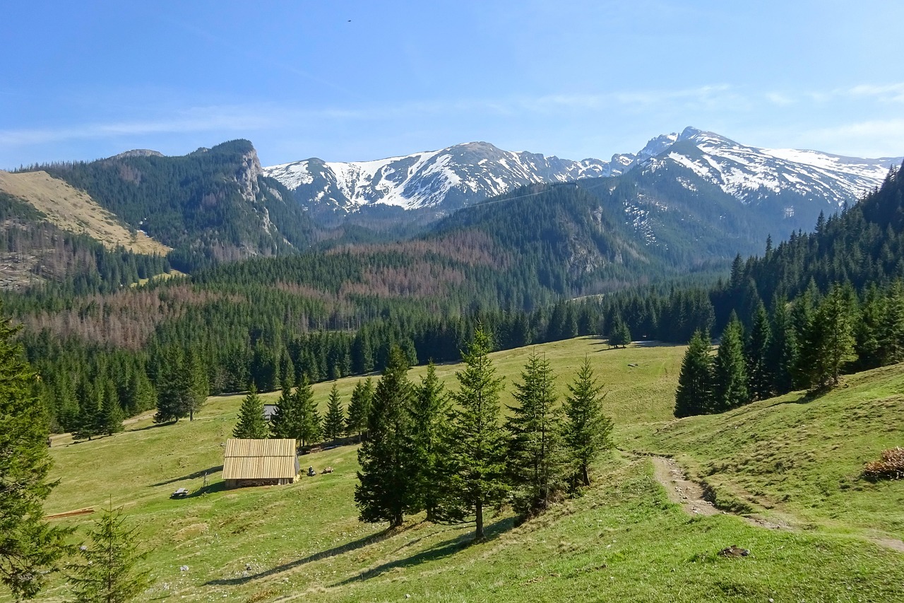Polana Kalatówki Mountains Tatra Mountains wallpaper