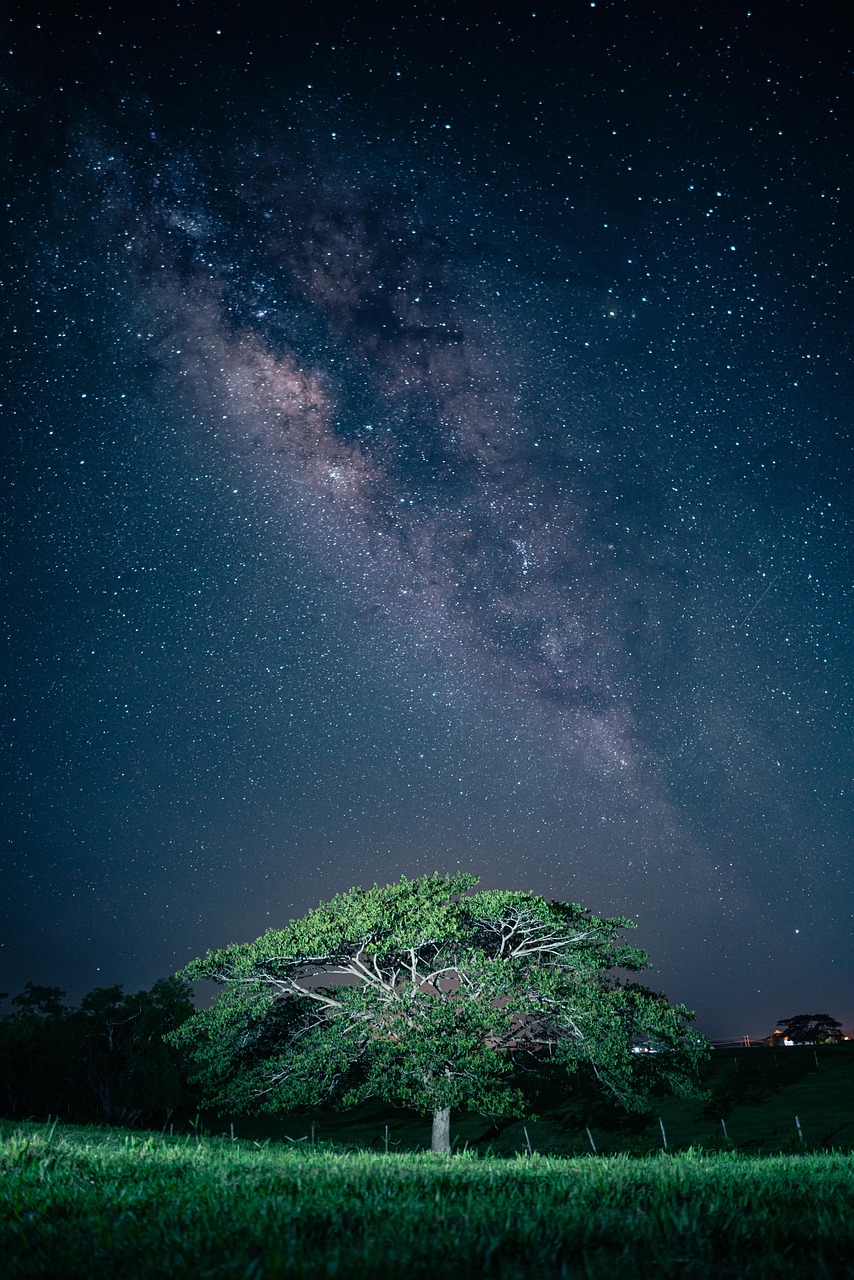 Tree Rain Milky Way wallpaper