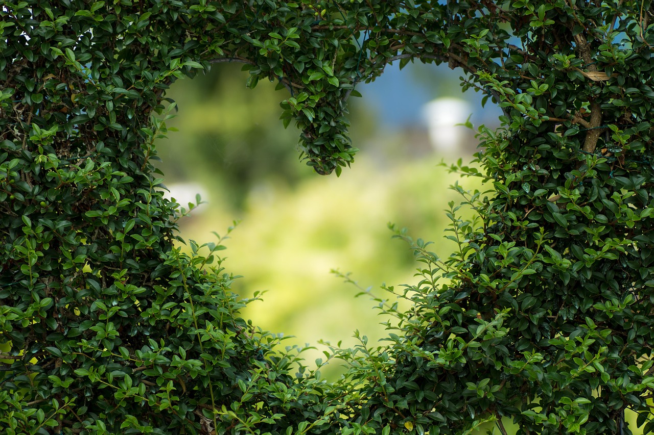 Valentines Day Background Heart Leaves wallpaper