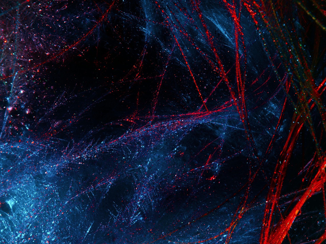 Abstract Painting Feathers wallpaper