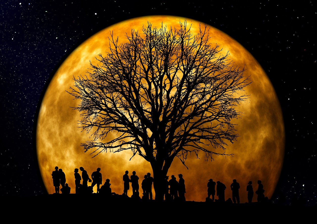 Tree Bald Moon wallpaper