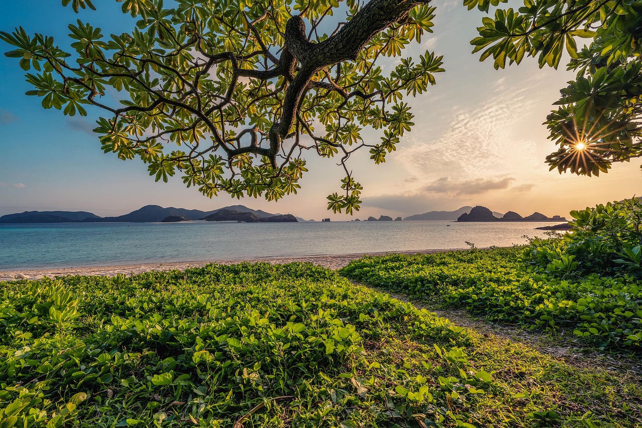 Sunset Sand Beach wallpaper