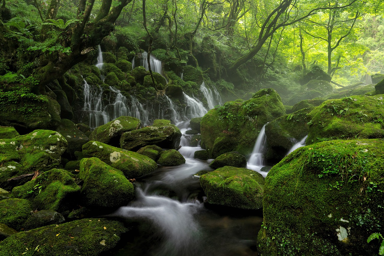 River Stream Spring wallpaper