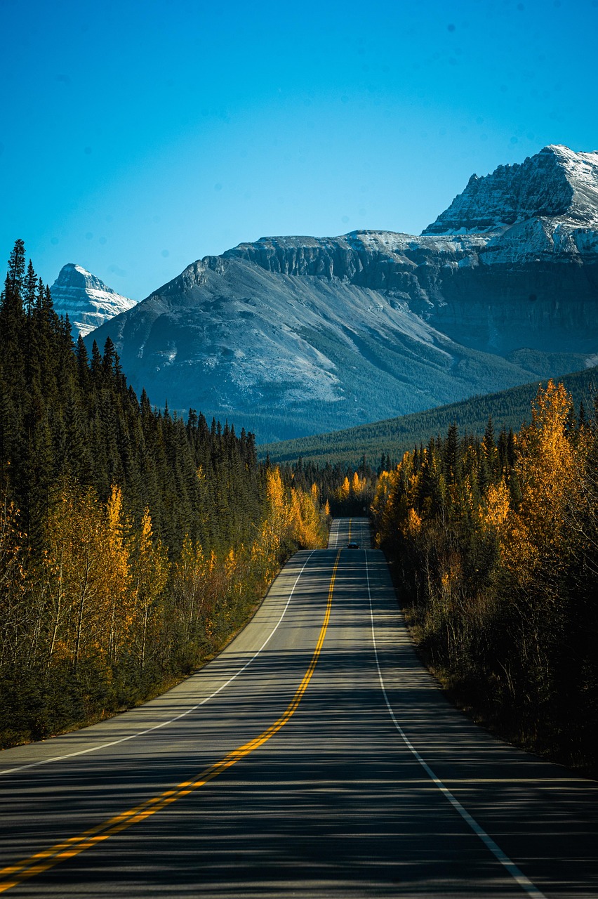 Banff Fall Road wallpaper