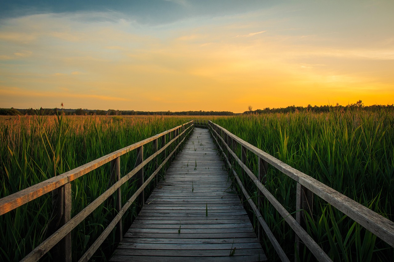 Sunset Federsee Bad Buchau wallpaper