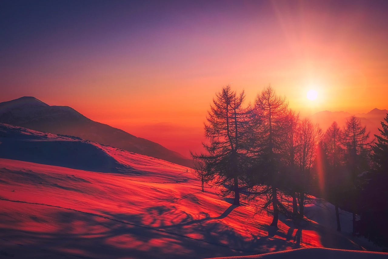 Sunset Mountains Trees wallpaper