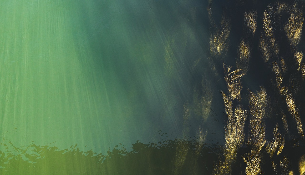 Underwater Top View Water Surface wallpaper