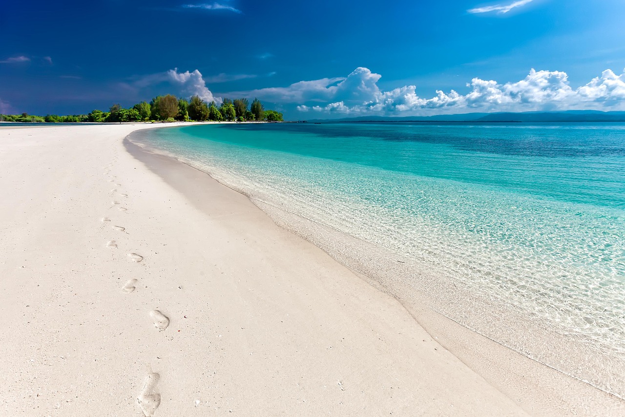 Beach Sea Footprints wallpaper