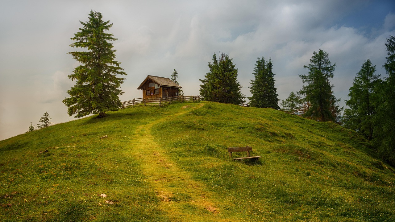 Tree Grass Landscape wallpaper